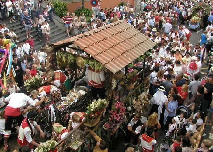 Canarian House With Views And Pool * Los Realejos