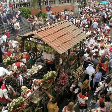 Canarian House With Views And Pool * Los Realejos